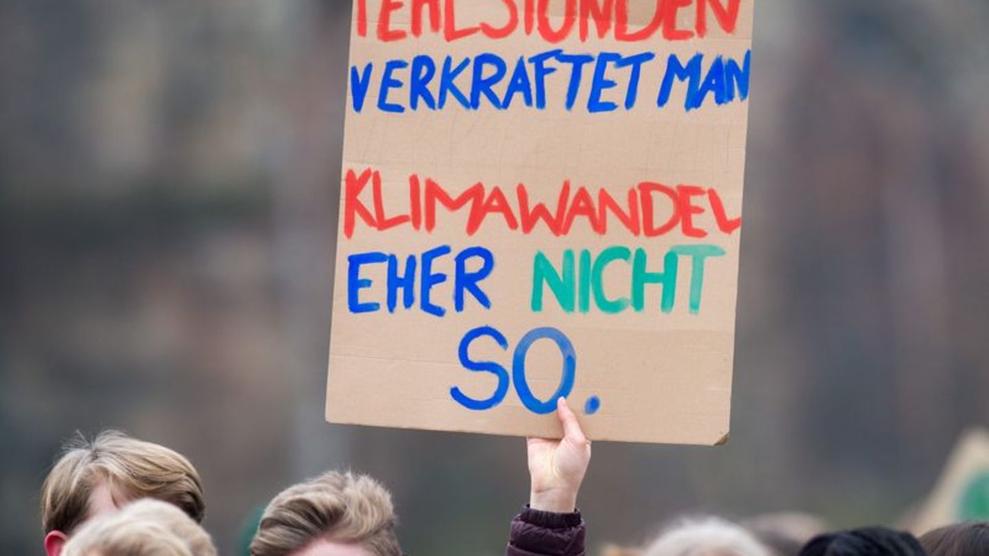 2019 gingen regelmäßig tausende Schülerinnen und Schüler für Fridays For Future auf die Straße. (Archivbild) Foto: Klaus-Dietmar