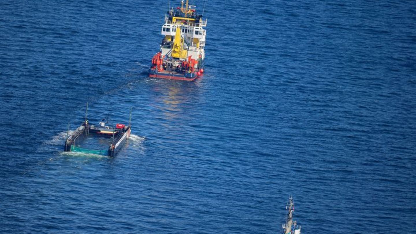Das Transportschiff mit dem Wal ist seit mehreren Tagen unterwegs. Foto: Christoph Reichwein/dpa