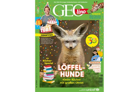 Cover GEOlino 05/2026: Löffelhunde