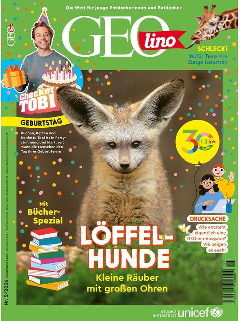 Cover GEOlino 05/2026: Löffelhunde