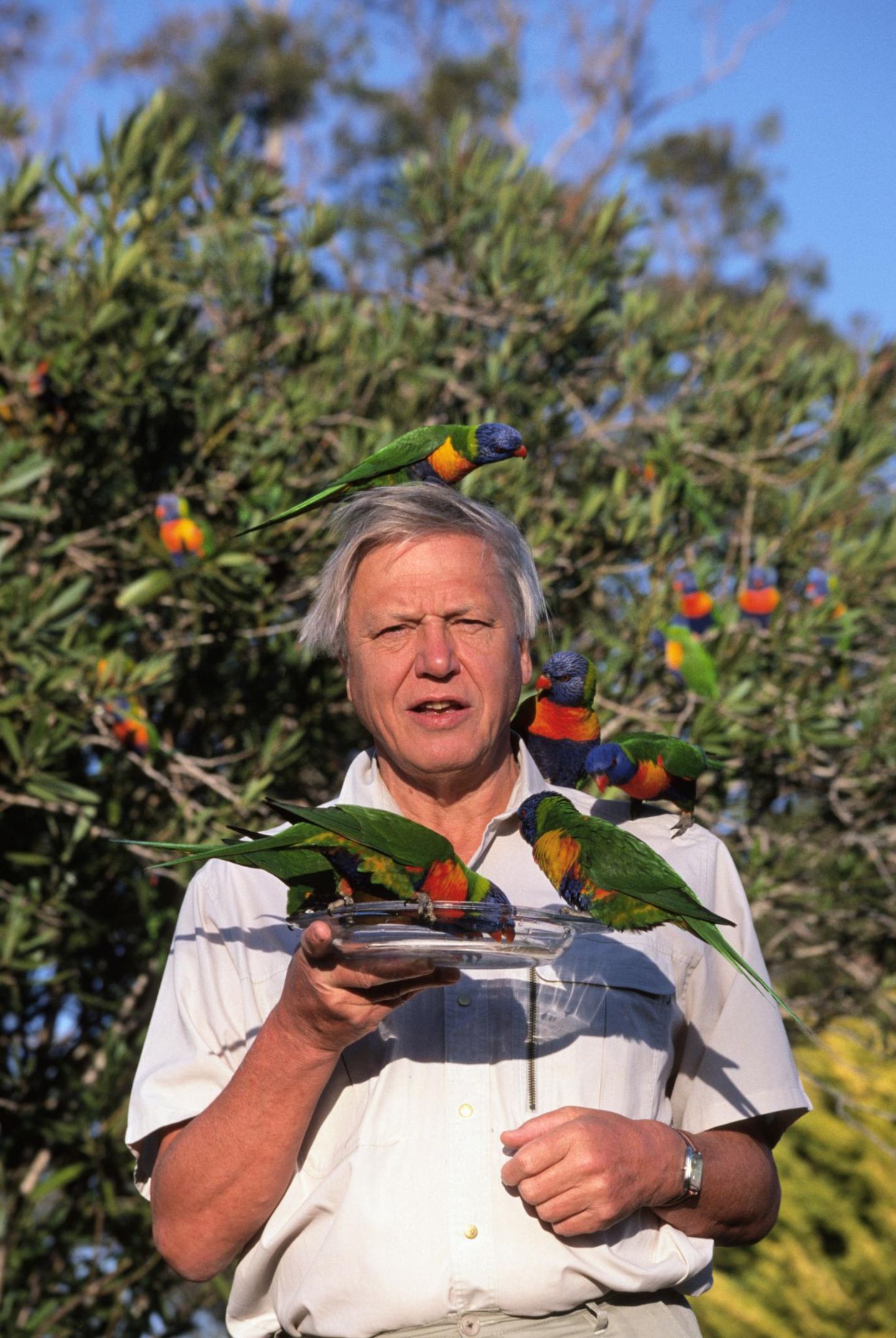 David Attenborough mit Regenbogenloris