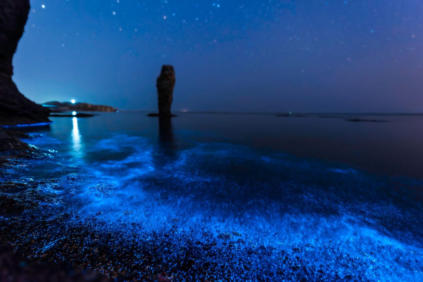 Vermehren sich Meeresleuchttierchen (Noctiluca scintillans) ungehemmt, kommt es zur Algenblüte. Die Heerscharen der Einzeller bilden bei Tag eine unansehnliche, grüne oder rotbraune Schicht an der Wasseroberfläche. Erst bei Nacht entfaltet sich ihre Magie. Denn wenn Wellen und Brandung die Winzlinge umherwirbeln, knipsen diese ihre Taschenlampe an: Genau wie Glühwürmchen verwandeln sie chemische Energie in Licht. Das Meeresleuchten tritt weltweit auf – hier an der Küste des Gelben Meeres.
