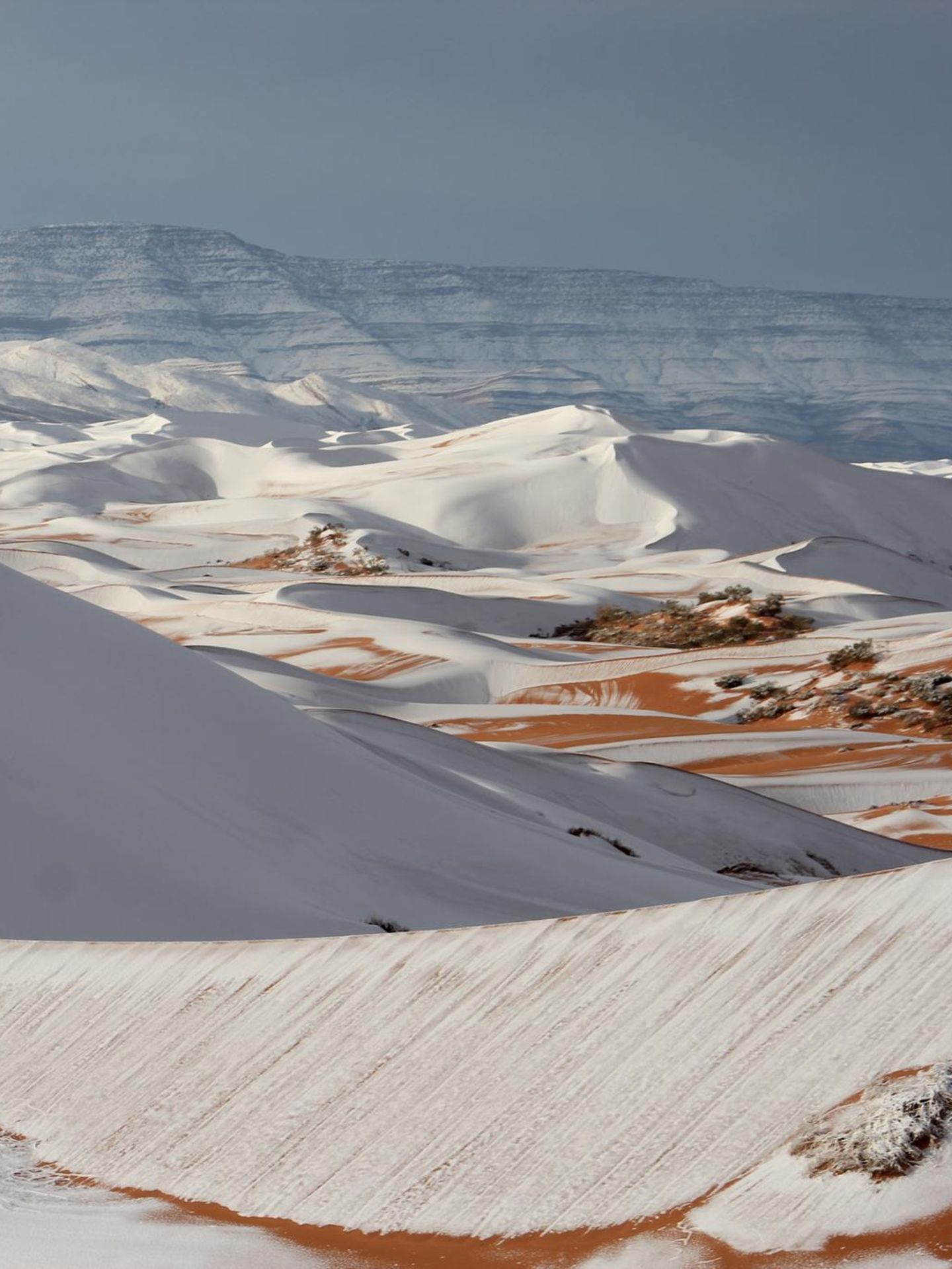 Glühende Hitze, flirrende Luft, kein Wasser weit und breit: So stellt man sich die Sahara vor. Doch gelegentlich bedeckt ein Kälteeinbruch ihre Sanddünen mit Schnee. So geschehen 2018 um die algerische Stadt Aïn Séfra, auch "Tor zur Wüste" genannt. Sie liegt gut 1000 Meter über dem Meeresspiegel. Trifft feuchte Seeluft dort auf eisige Wüstenluft, fallen Flocken. Einst galt das Phänomen als extrem selten – doch seit 2016 tritt es in der Gegend immer wieder auf.