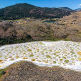 Für viele Indigene ist der "Spotted Lake", ein alkalischer Salzsee im Westen Kanadas, ein heiliger Ort. Kein Wunder, denn im Sommer vollzieht sich hier ein fantastisches Schauspiel. Verdunstet das stehende Wasser des Sees, bildet sich eine Kruste aus Mineralien, die mit gelben und grünen Tümpeln übersät ist. Den genauen Farbton bestimmen die gelösten Substanzen. Ihre Konzentration verändert sich mit jedem trockenen Tag und jedem Regenguss, weshalb sich auch das Fleckenmuster permanent wandelt.