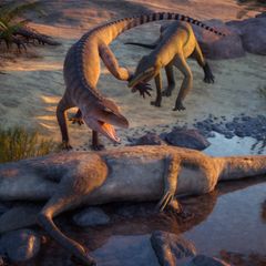 Illustration von  Eosphorosuchus lacrimosa und Hesperosuchus agilis
