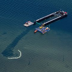 Ein Lastkahn, der einen Buckelwal in der Ostsee transportieren soll