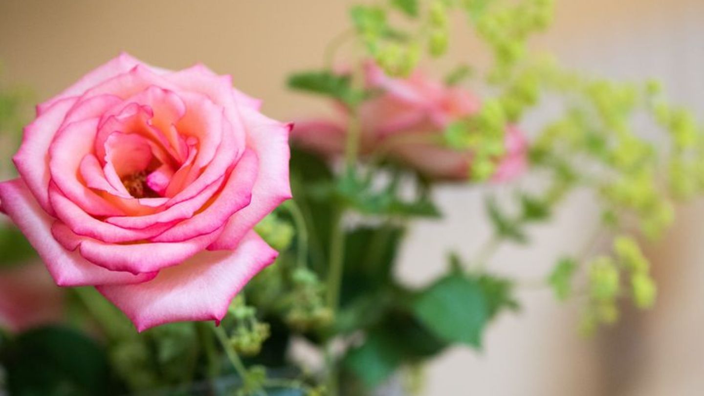 Blumenstrauß als Aufmerksamkeit: Für Pollenallergiker sind Sorten wie Rosen geeignet. Foto: Franziska Gabbert/dpa-tmn