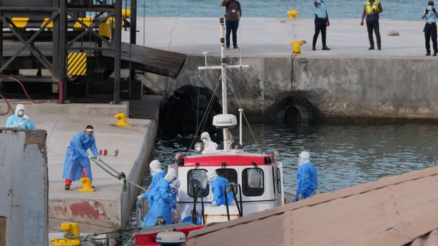 Gesundheitspersonal in Schutzkleidung evakuiert Patienten vom Kreuzfahrtschiff "Hondius" in einem Hafen. Foto: Misper Apawu/AP/d