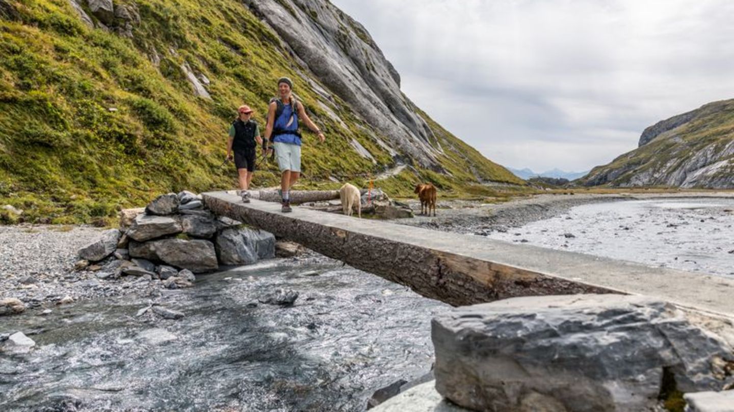 Führt auch durch Hochtäler mit Gebirgsbächen und Rindern: Die Senda Sursilvana ist ein abwechslungsreicher Alpin-Wanderweg. Foto