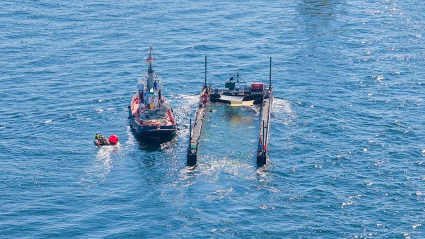 Dem Umweltministerium von Mecklenburg-Vorpommern liegen noch immer keine Daten zum Verbleib des freigesetzten Buckelwals vor. (A