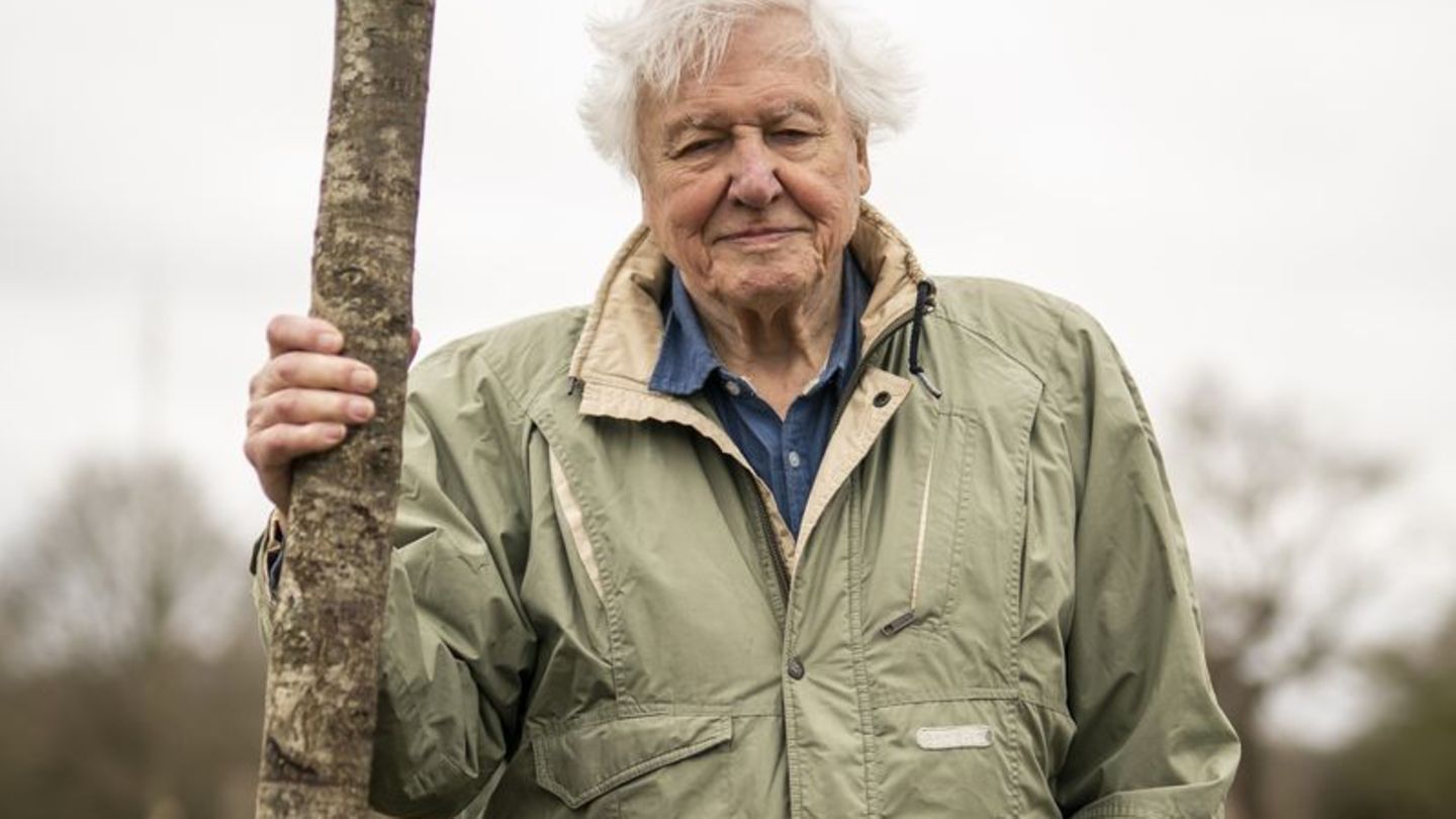 Der britische Naturforscher und Dokumentarfilmer David Attenborough feiert seinen 100. Geburtstag. (Archivbild) Foto: Aaron Chow