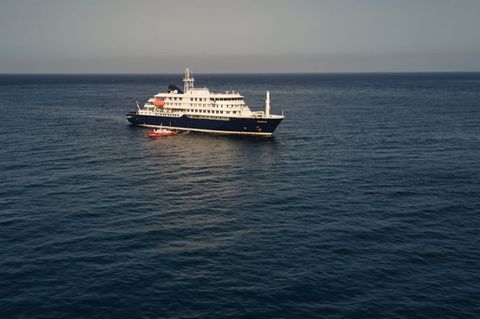Die "Hondius" sollte am Sonntagmorgen die Insel Teneriffa erreichen. (Archivbild) Foto: Arilson Almeida/AP/dpa