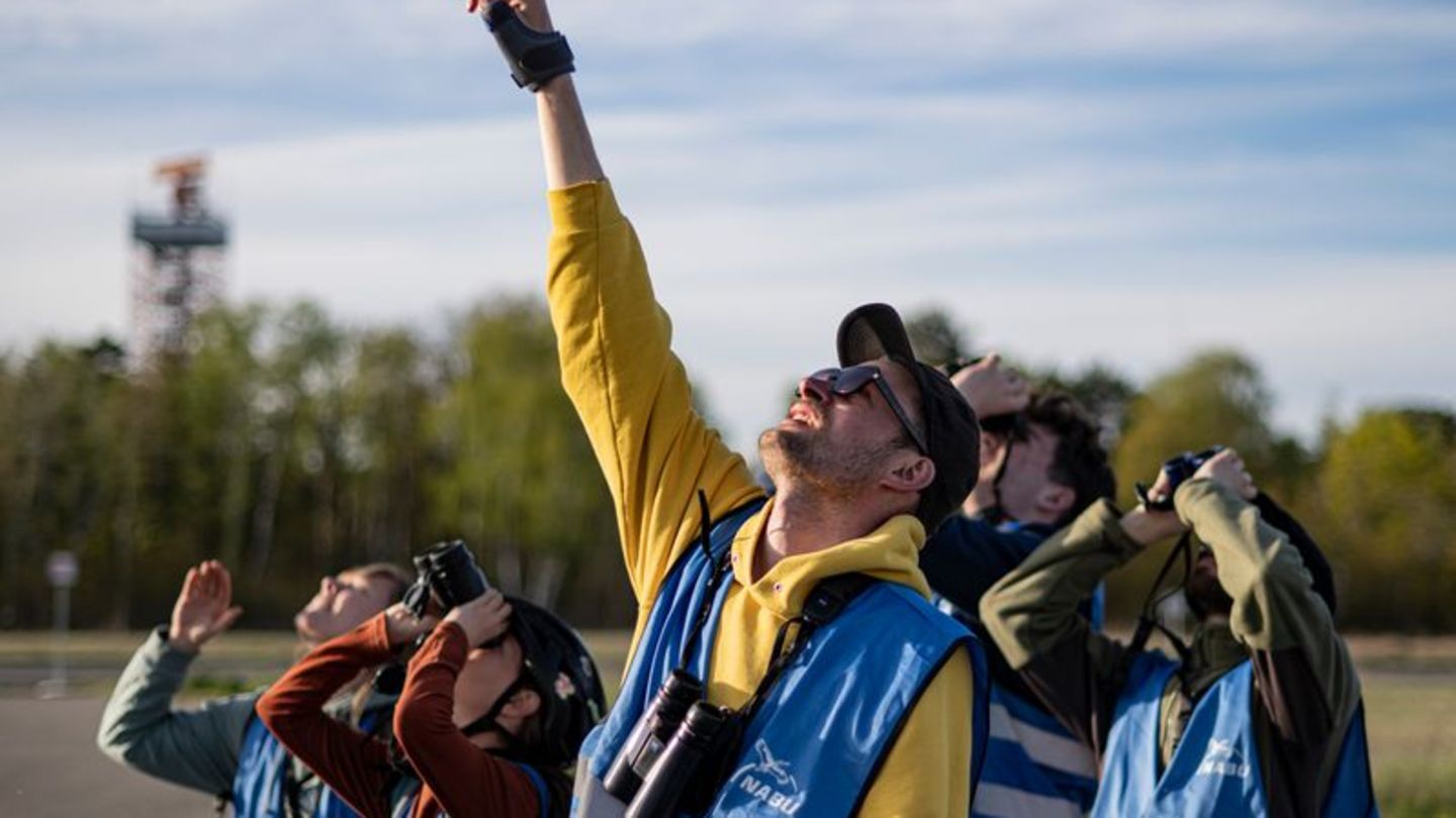 Ohne Fernglas geht beim Birden nichts. Foto: Fabian Sommer/dpa