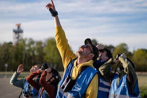 Ohne Fernglas geht beim Birden nichts. Foto: Fabian Sommer/dpa