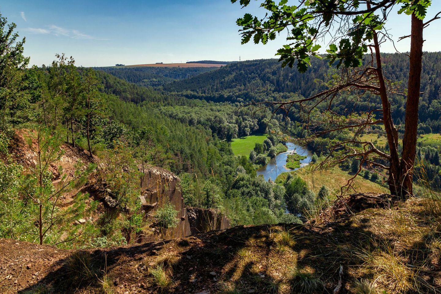 Blick über das grüne Elstertal in Wünschendorf