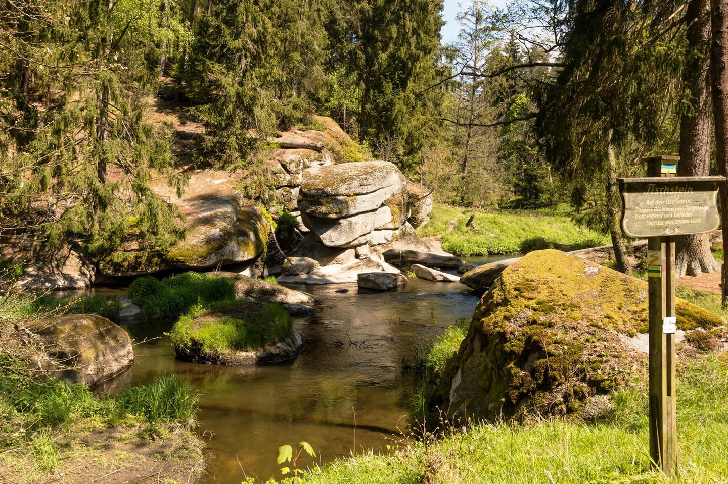 Von Steinen und Wiese umringtes Wasser im Waldnaabtal