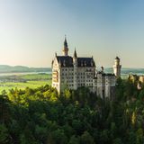 Schloss Neuschwanstein umgeben von Bäumen