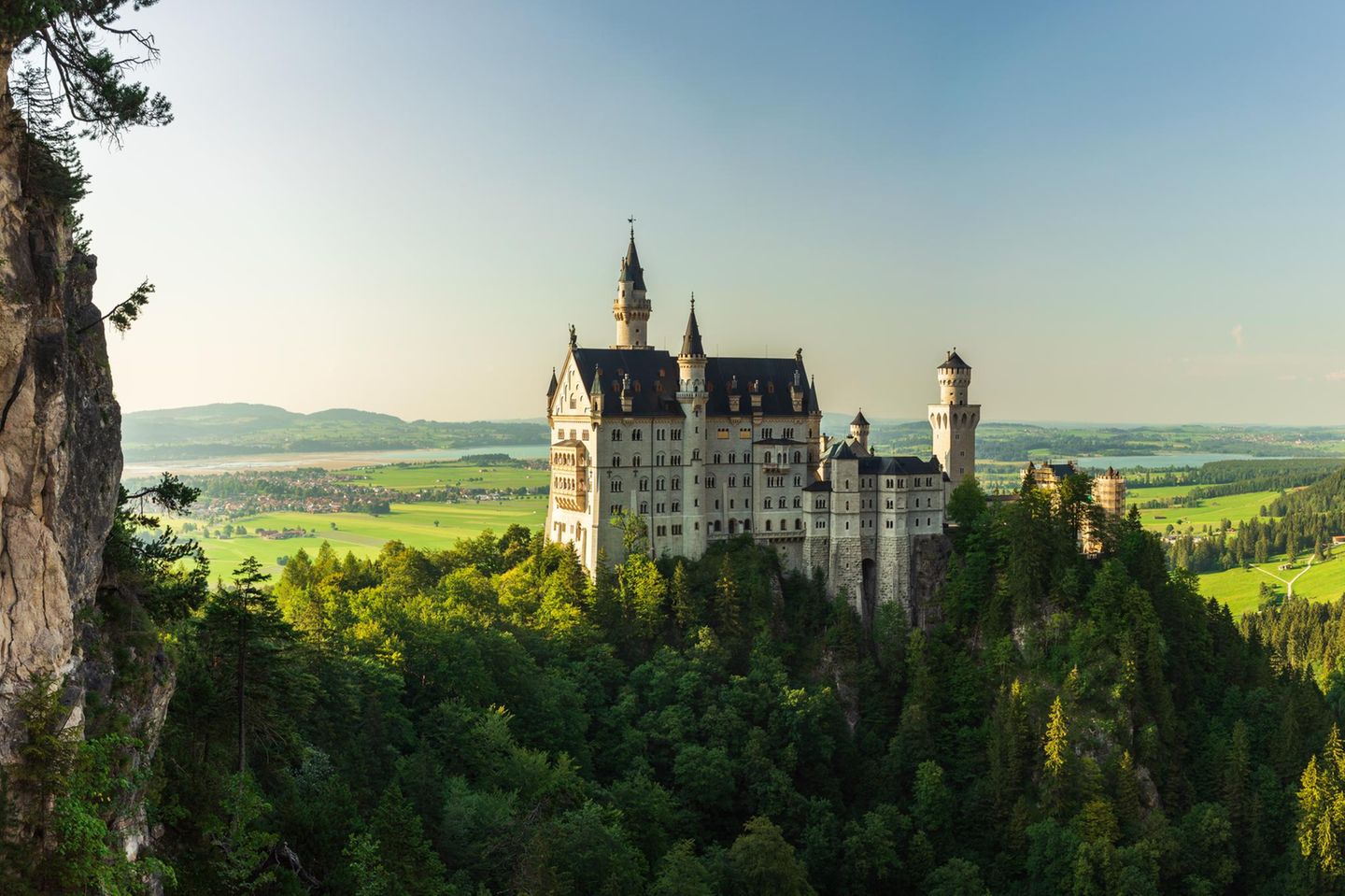 Schloss Neuschwanstein umgeben von Bäumen