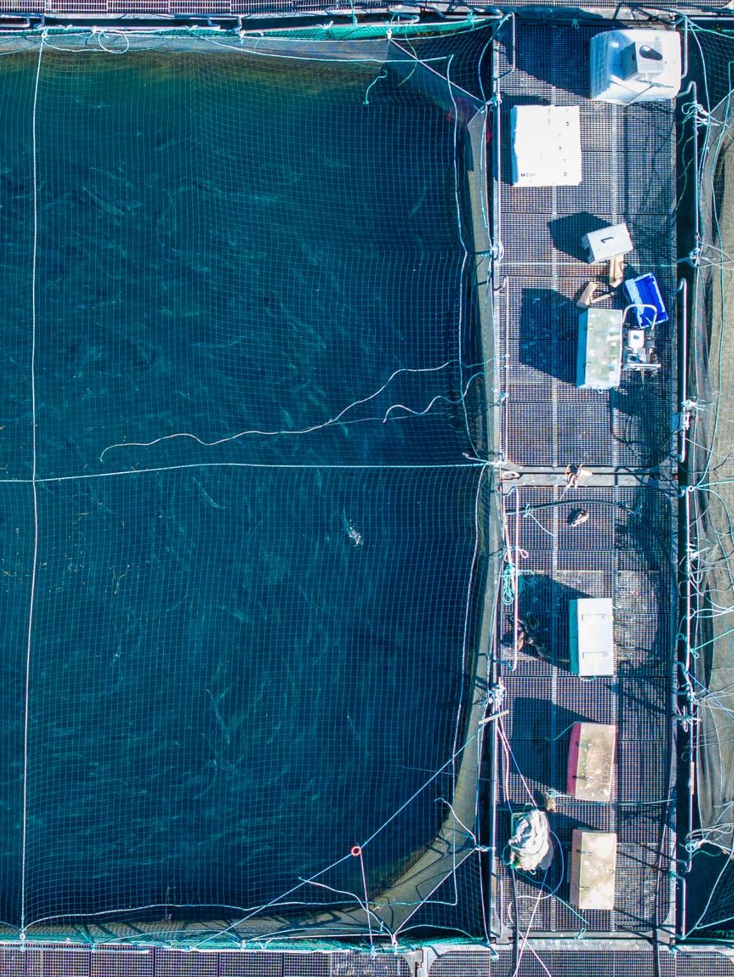Dense Waters, 2025, Scotland, UK