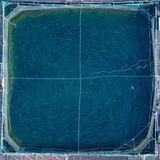 Dense Waters, 2025, Scotland, UK
