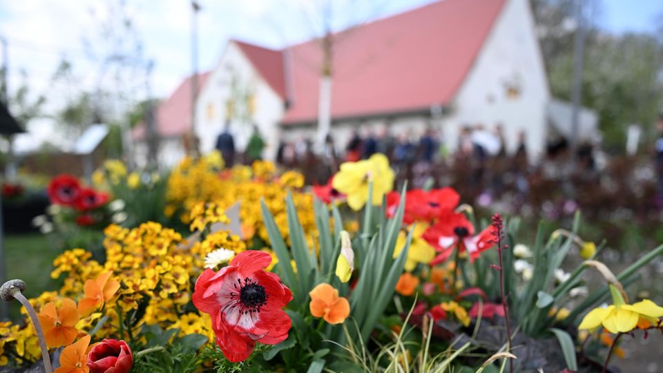 Pflanzen blühen auf dem Gelände der Landesgartenschau Neuss