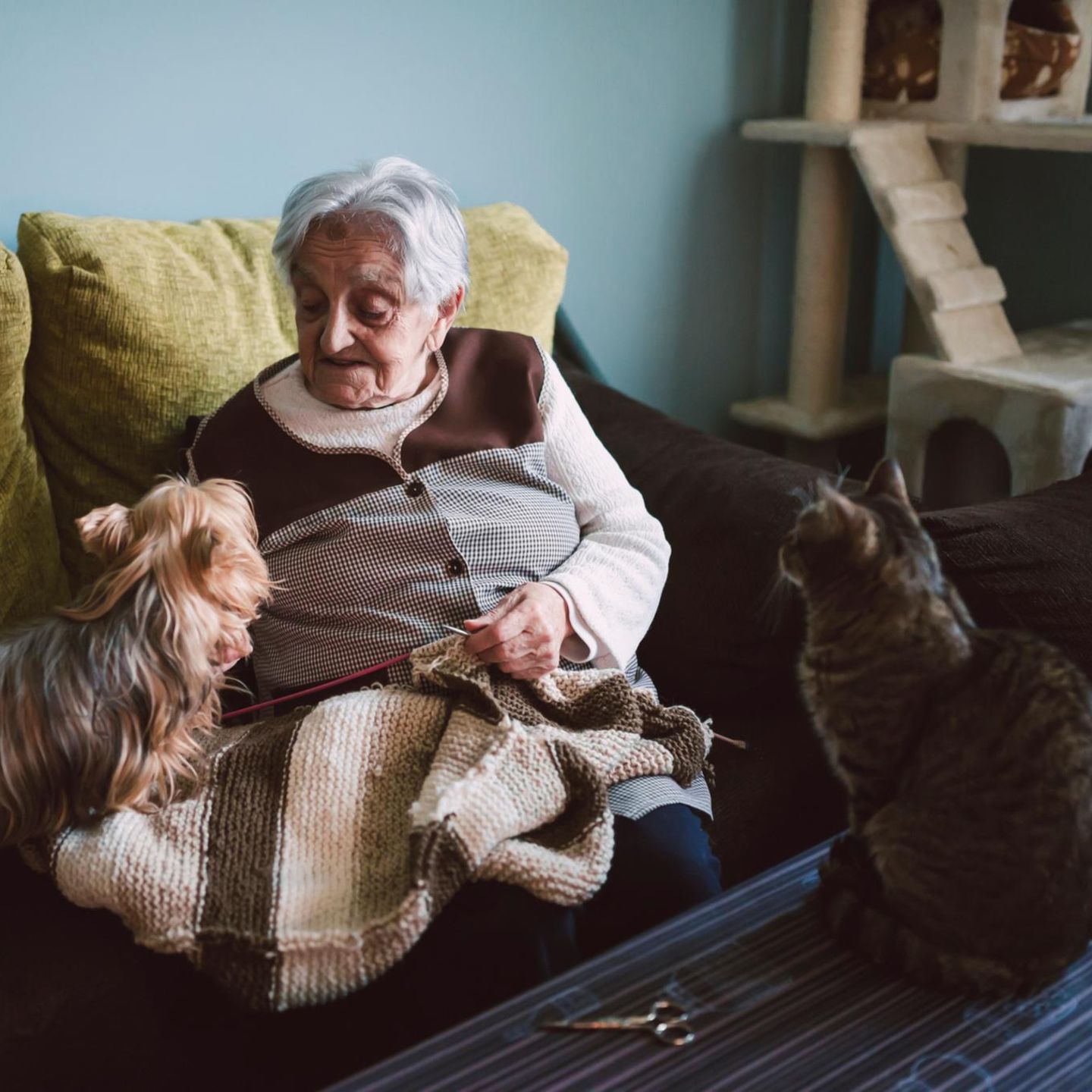 Alte Dame mit Hund und Katze