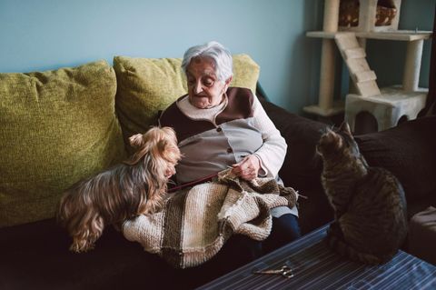 Alte Dame mit Hund und Katze