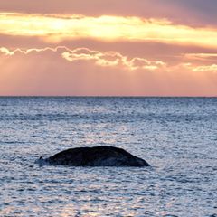 Gestrandeter Wal im Meer