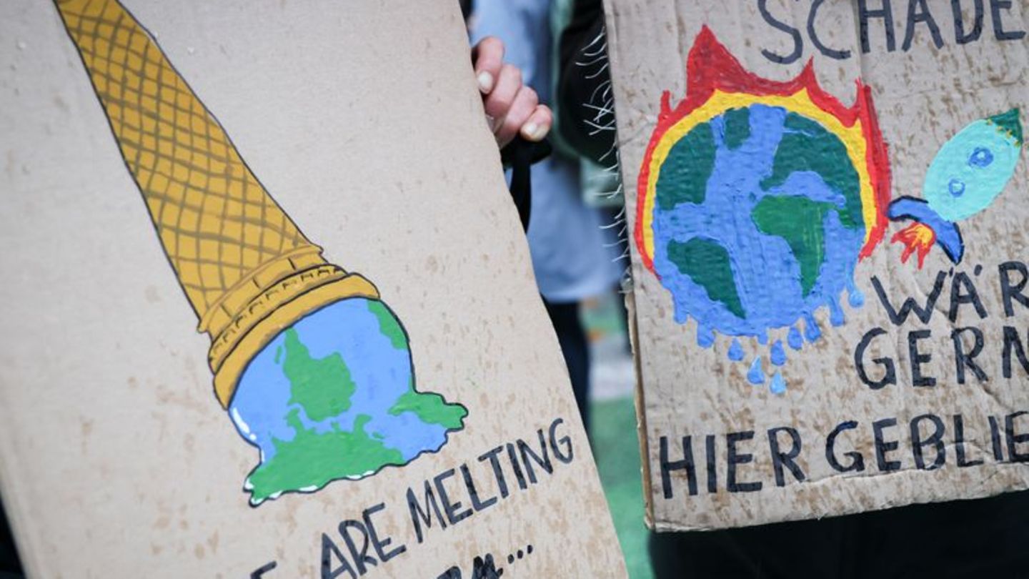 Auf einem Klimaprotest machen Plakate auf die eskalierende Krise aufmerksam. (Symbolbild) Foto: Christian Charisius/dpa