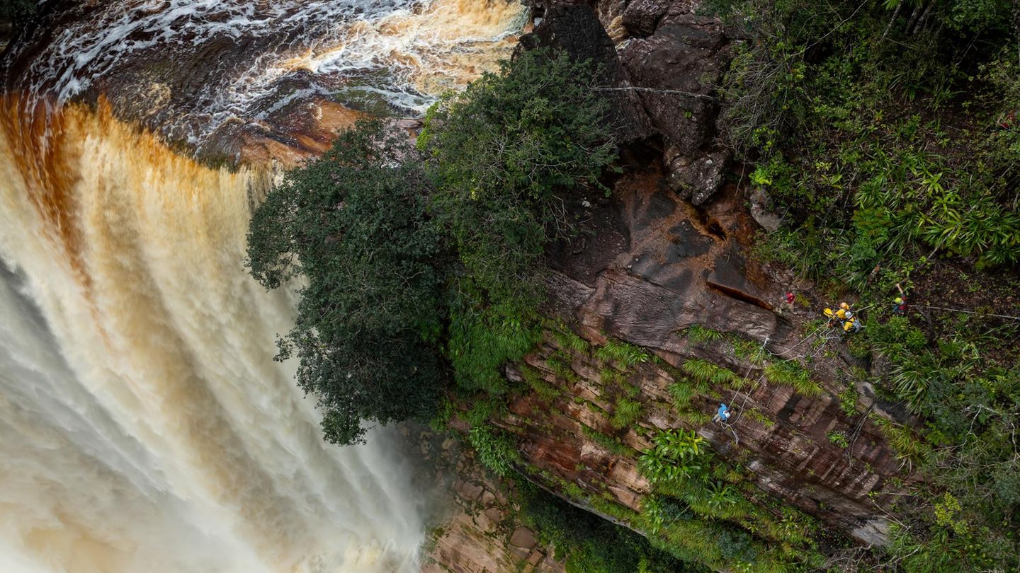 Im Sog des Wassers: Mehr als 200 Meter stürzen die "Kumerau Falls" in die Tiefe: Die Forschenden seilen sich an der Felswand daneben ab