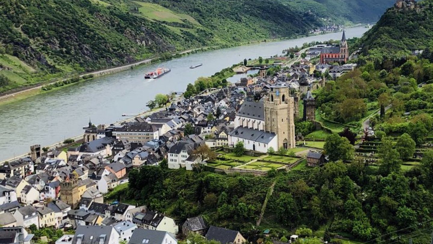 Gartenreich: In Oberwesel können gleich fünf grüne Oasen besucht werden. Foto: Bernd F. Meier/dpa-tmn