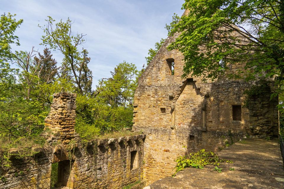 Kloster Disibodenberg