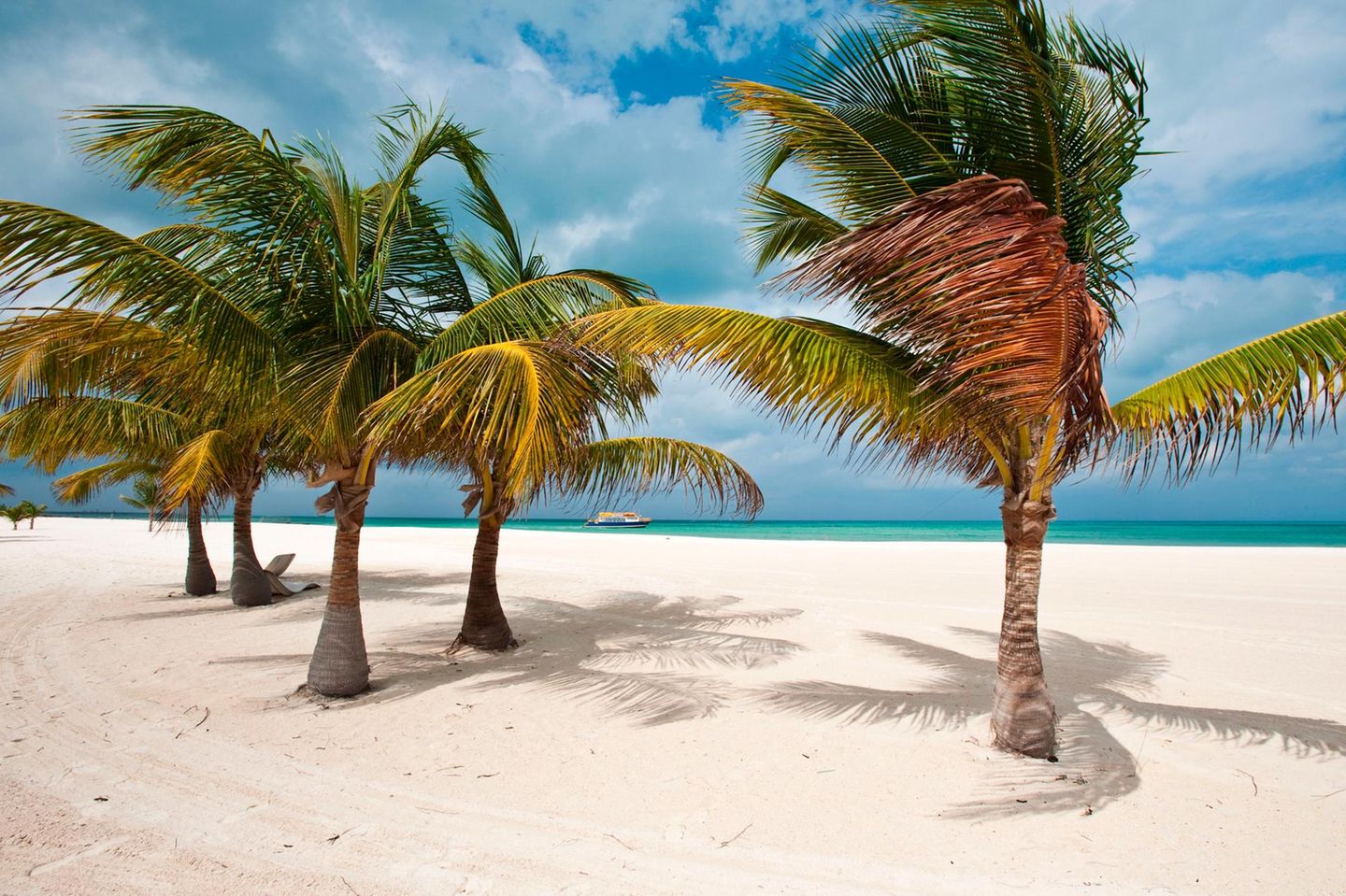 Isla Pasion Cozumel, Mexiko