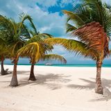Isla Pasion Cozumel, Mexiko