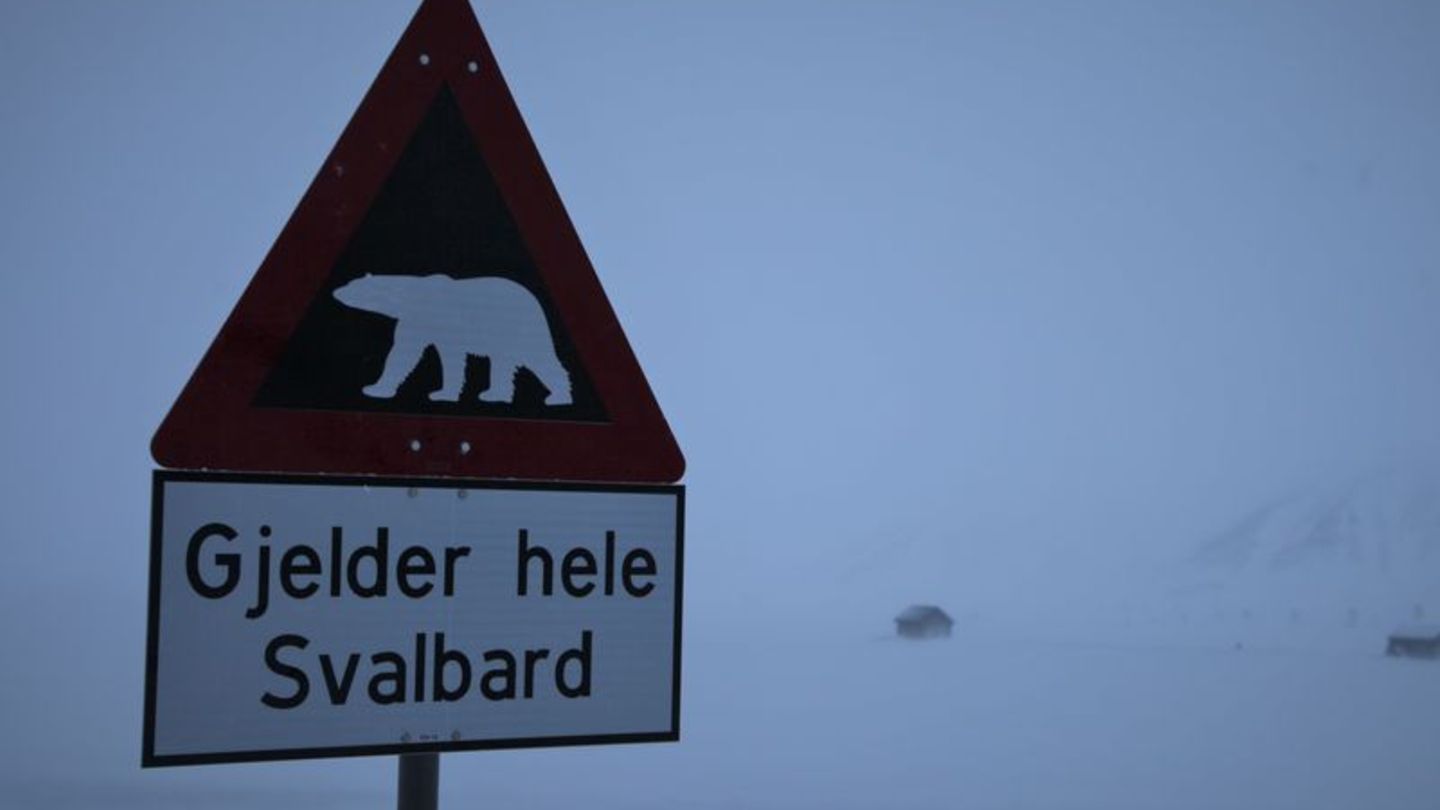Zum ersten Mal ist in Europa bei einem Eisbären die Vogelgrippe entdeckt worden - und zwar auf der norwegischen Inselgruppe Spit