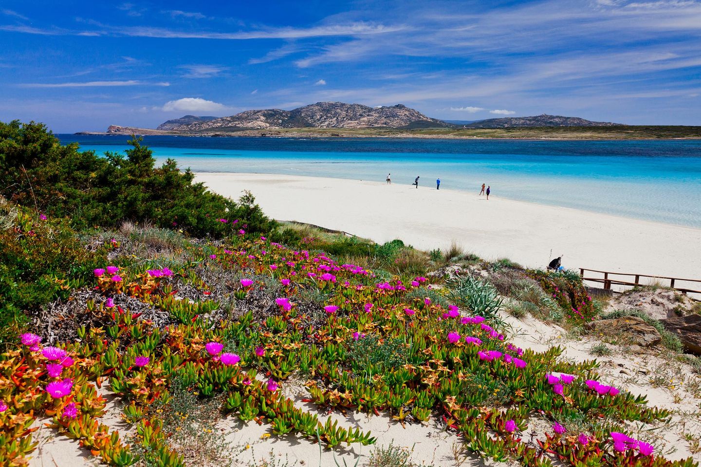 Blüten und weisser Strand auf Sardinien