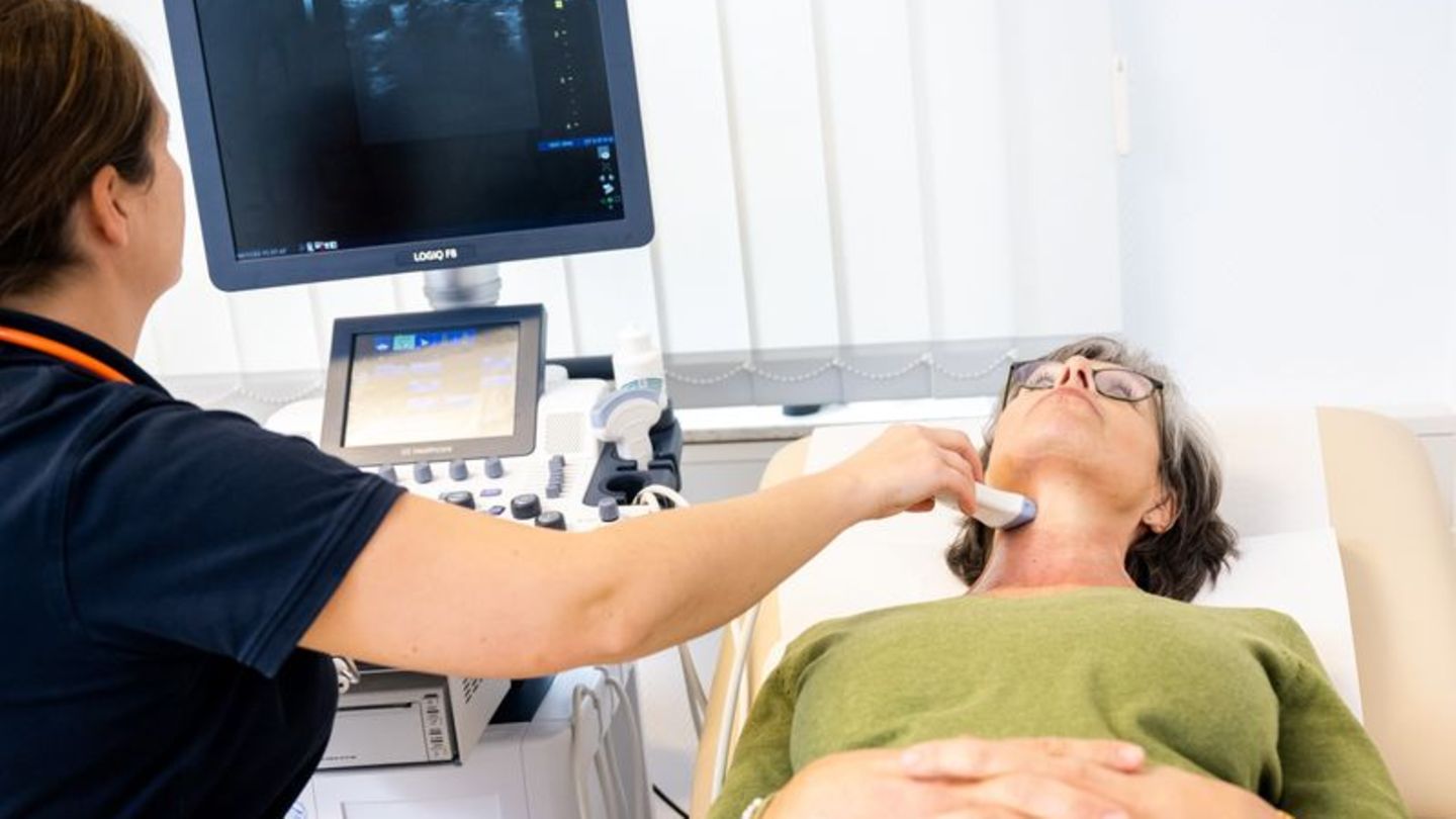 Wie geht es der Schilddrüse? Darüber geben Blutwerte wie der TSH-Wert Auskunft. Ebenfalls wichtiger Teil der Diagnostik: eine Ul