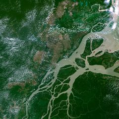 Der wasserreichste Fluss des Planeten: Im Mündungsgebiet verästelt der Amazonas sich zu einem gigantischen Delta. Seine Flussfahne prägt den Atlantik über eine Million Quadratkilometer – bis zur Karibik