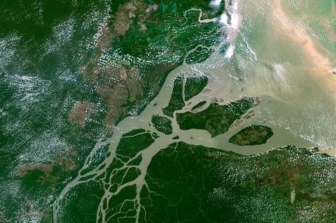 Der wasserreichste Fluss des Planeten: Im Mündungsgebiet verästelt der Amazonas sich zu einem gigantischen Delta. Seine Flussfahne prägt den Atlantik über eine Million Quadratkilometer – bis zur Karibik