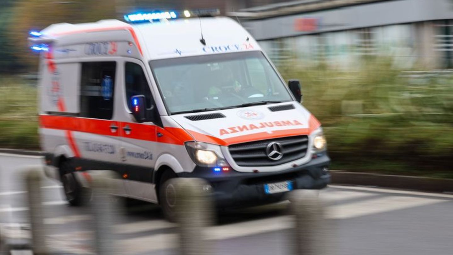In Mecklenburg-Vorpommern ist eine Erkrankung mit dem gefährlichen Bornavirus nachgewiesen worden. Es kann nach Behördenangaben