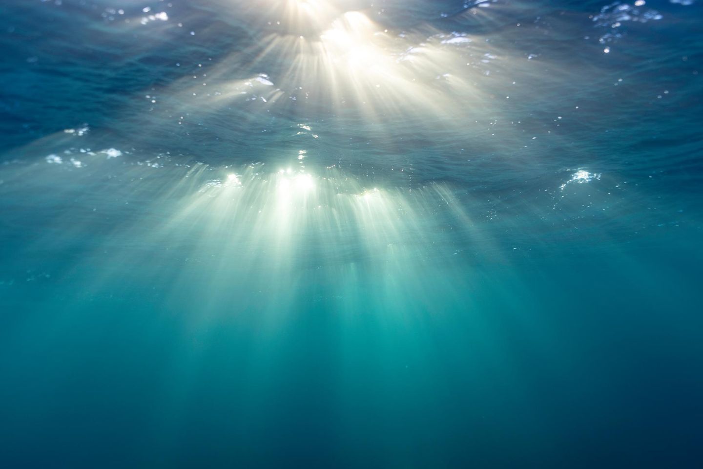 Wasser