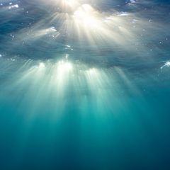 Wasser