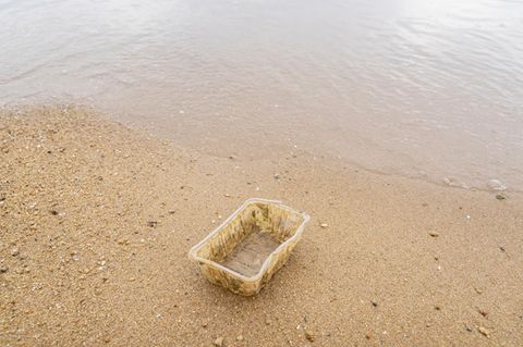 Plastikschale am Strand