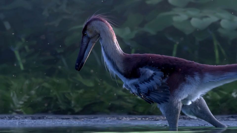 Killer der Kreidezeit: Spektakulärer Fund: Ein Dinosaurier-Reiher durchstreifte einst Patagonien