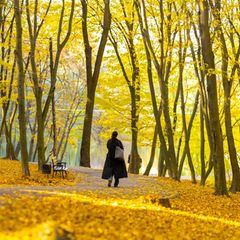 Eine Frau spaziert durch einen herbstlichen Park