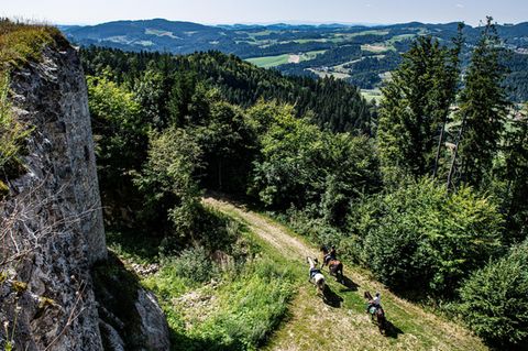 TVB Mühlviertel/Pferdereich Mühlviertler Alm/Erber: Wanderreiten im Sommer